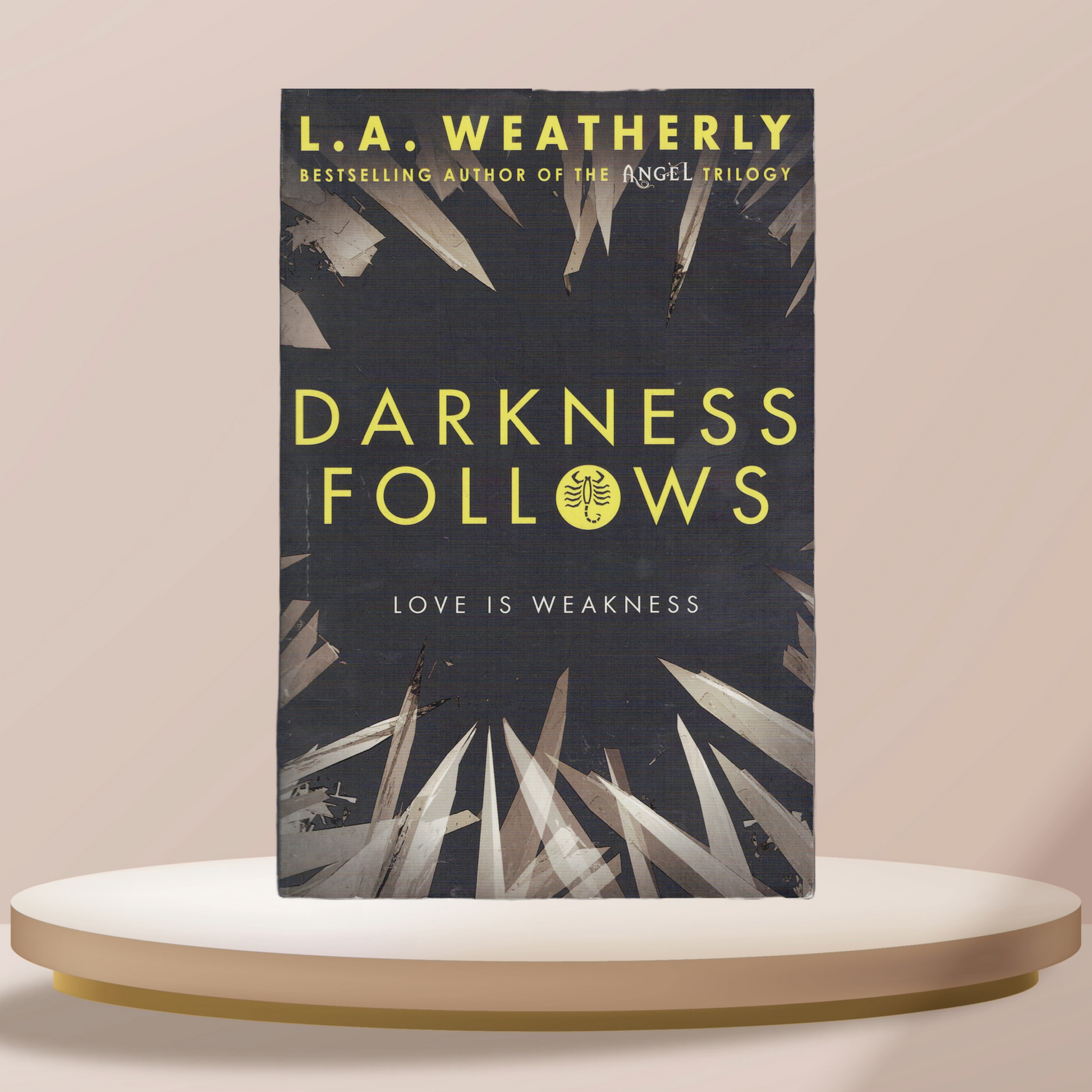 Darkness Follows