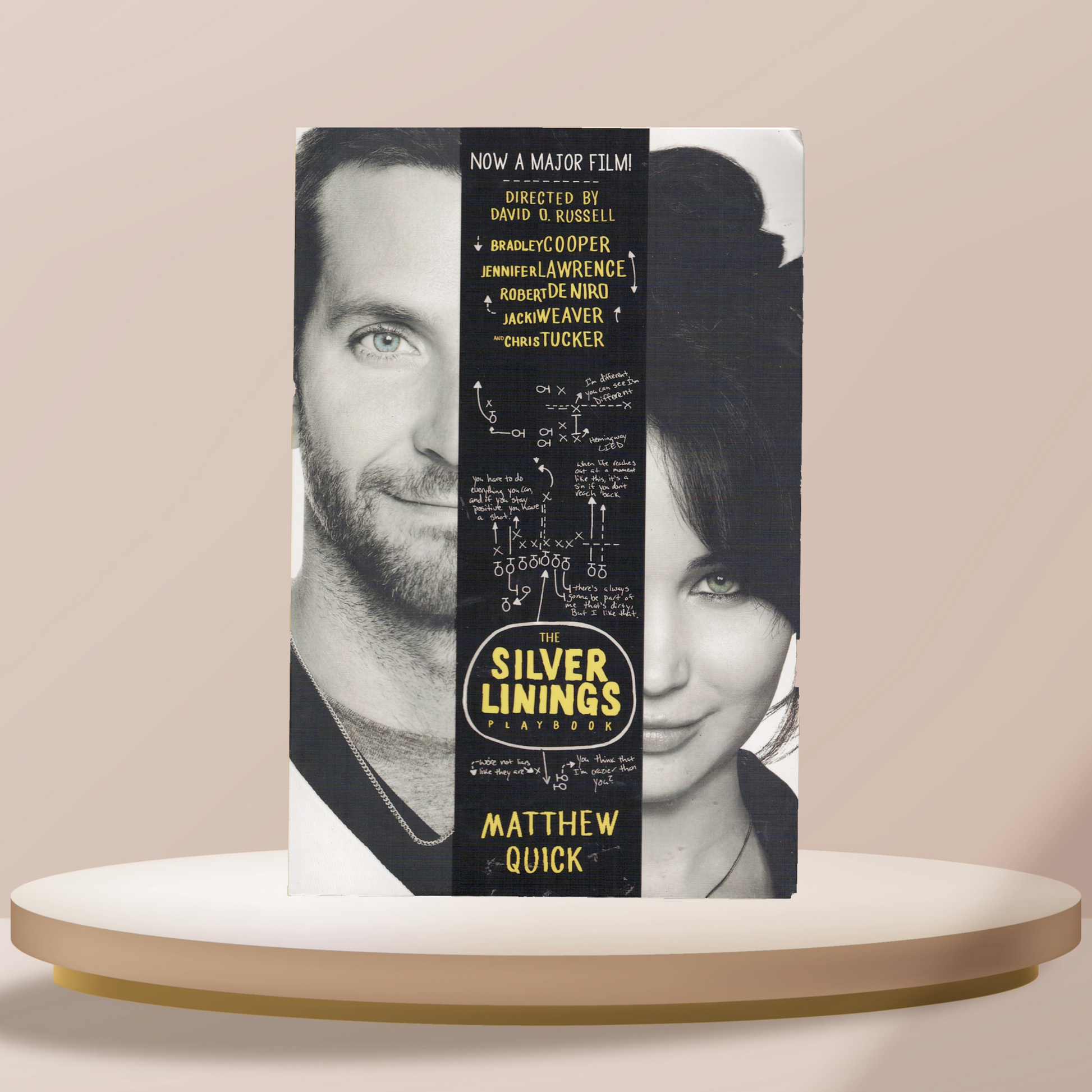 Silver Linings Playbook