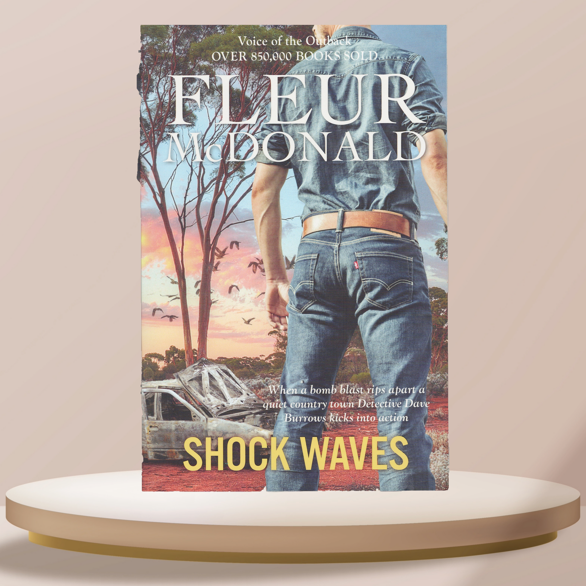 Shock Waves