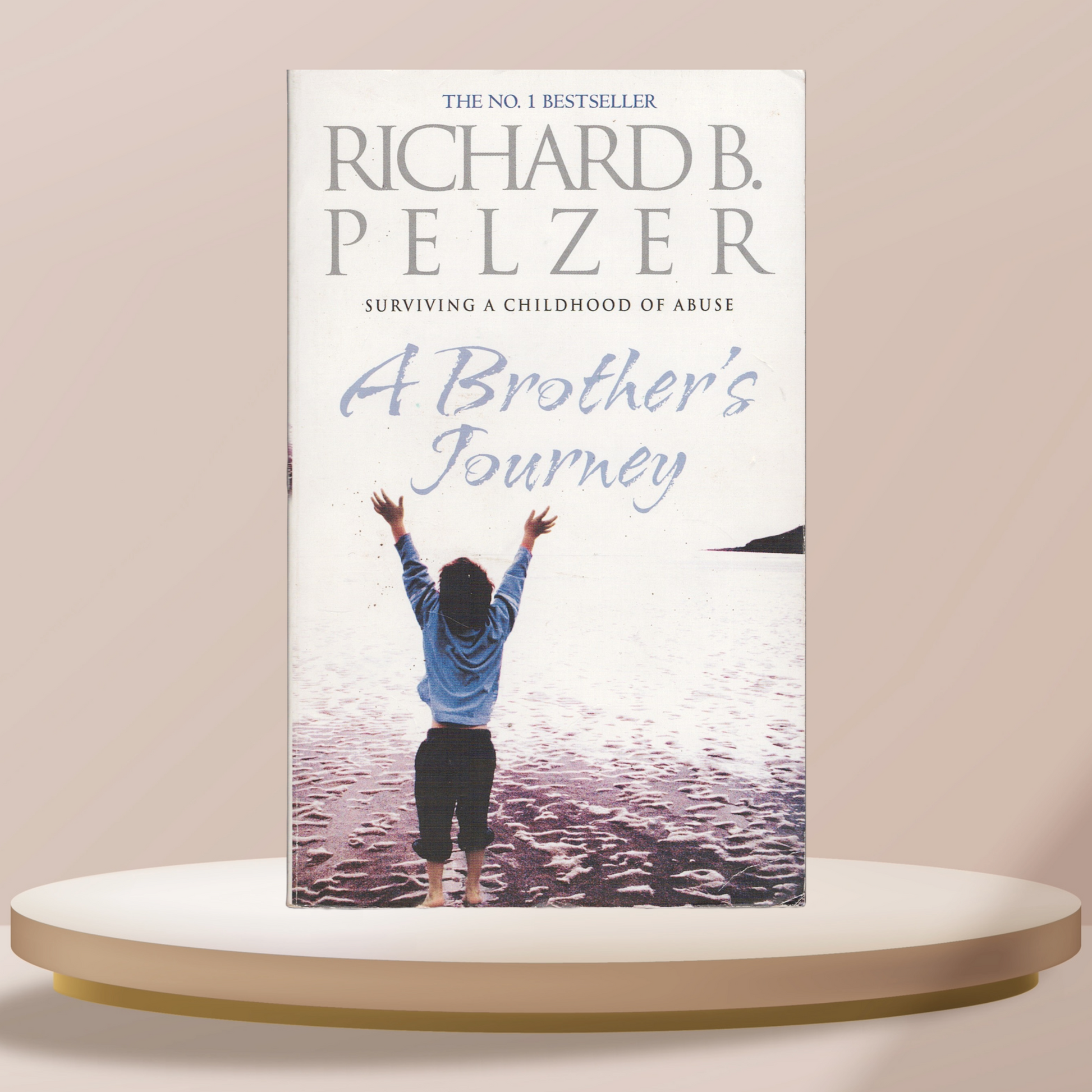 A Brother's Journey