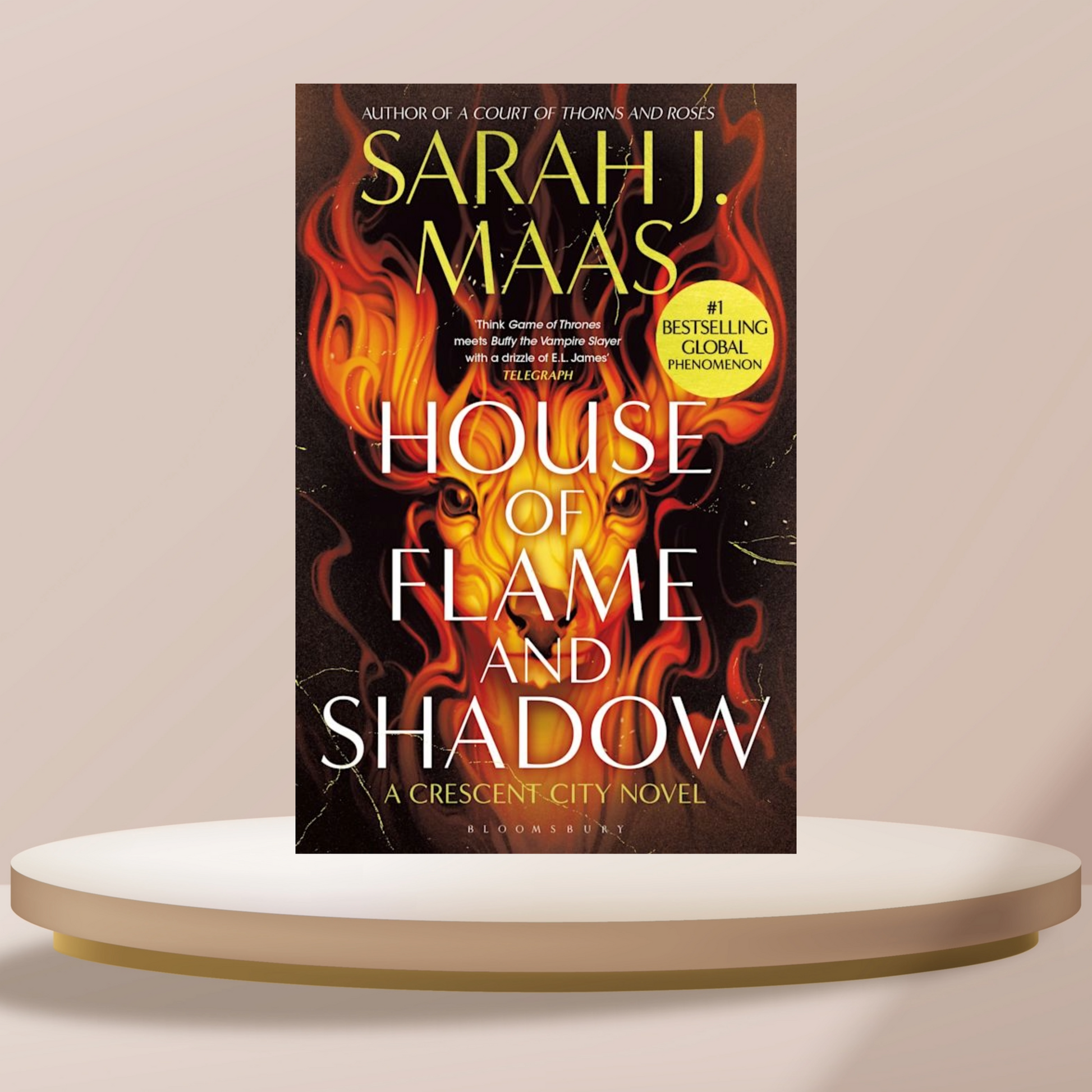 House Of Flame And Shadow