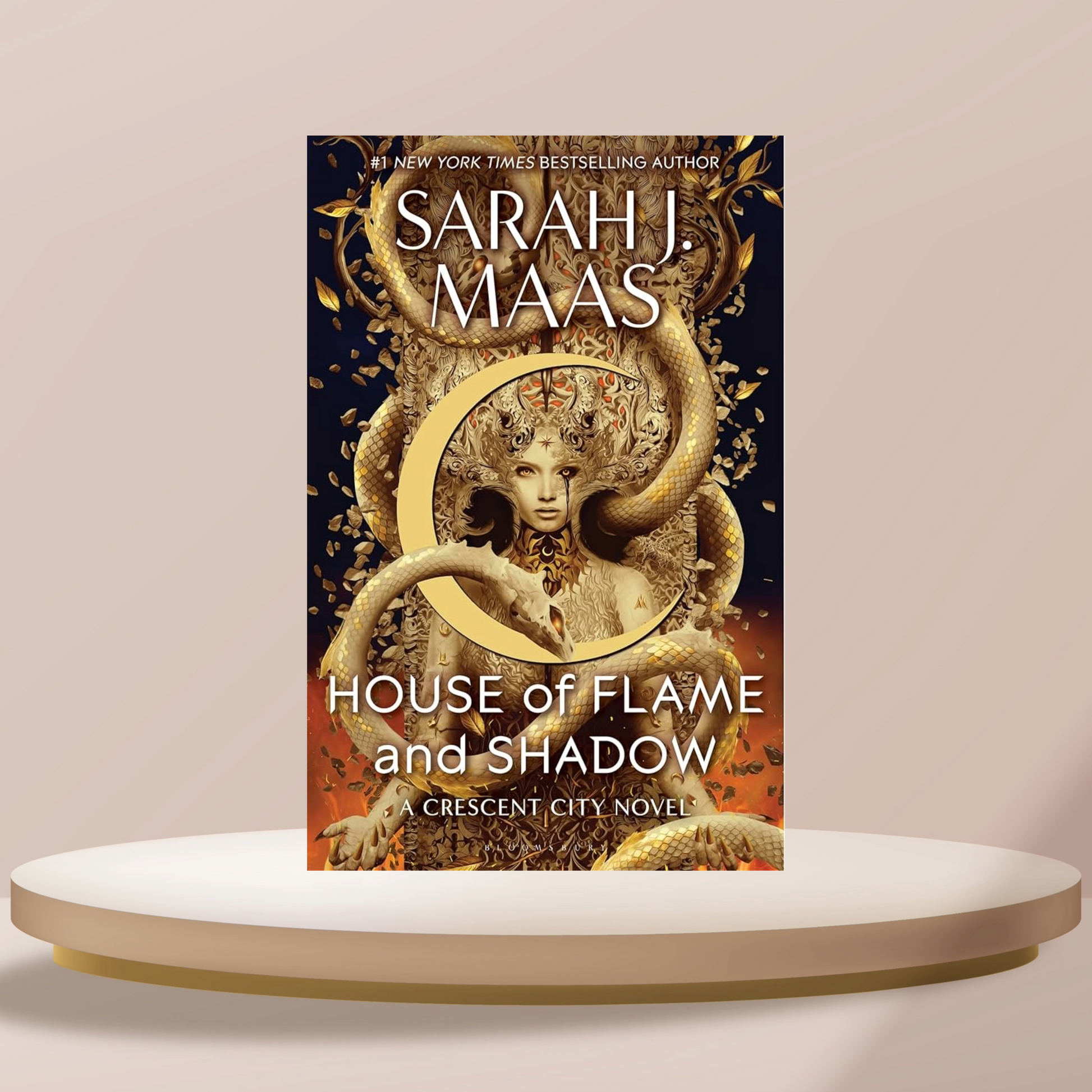 House Of Flame And Shadow