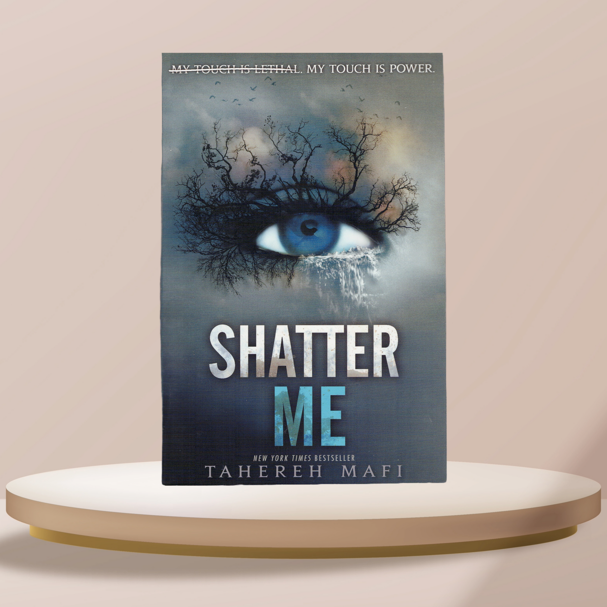 Shatter Me