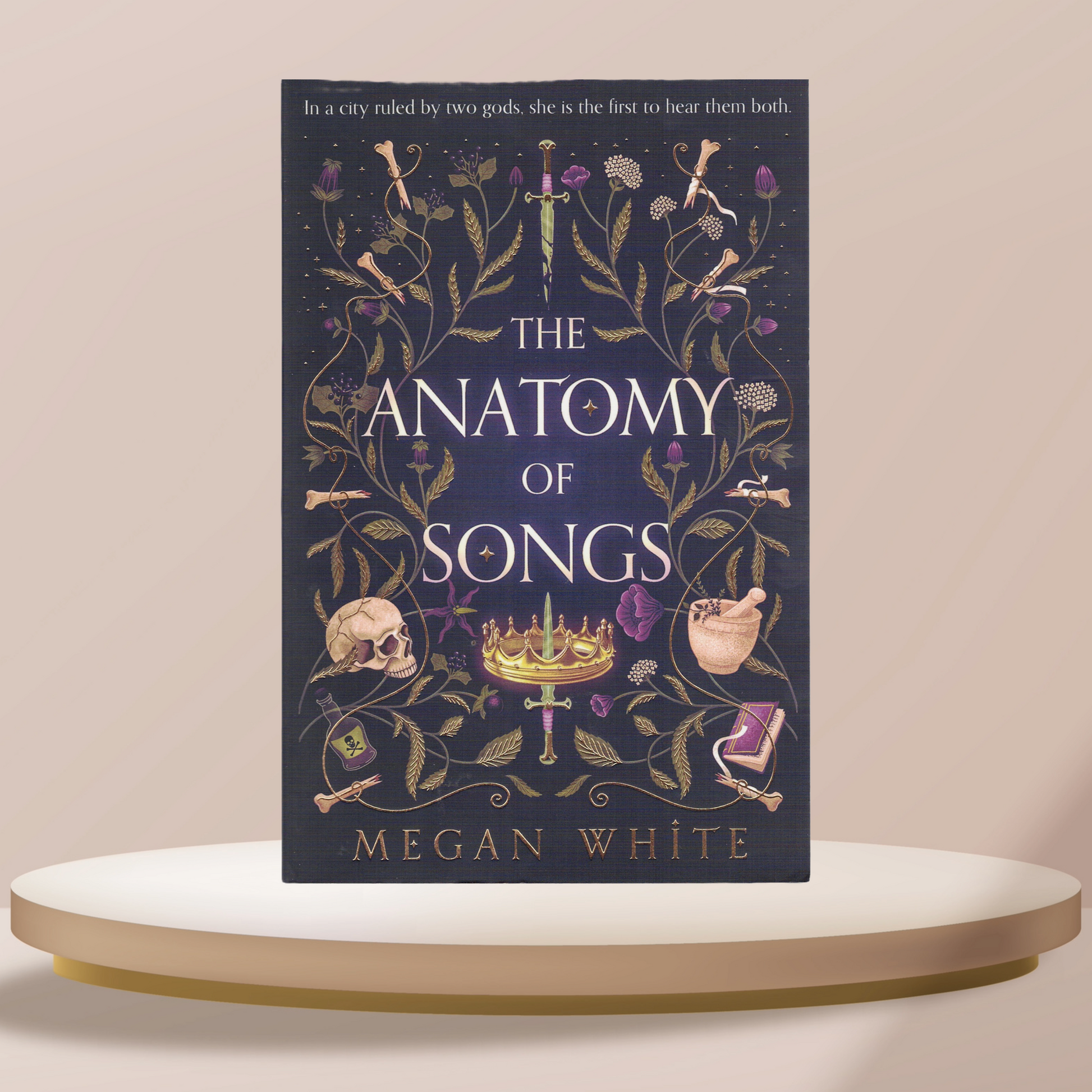 The Anatomy Of Songs