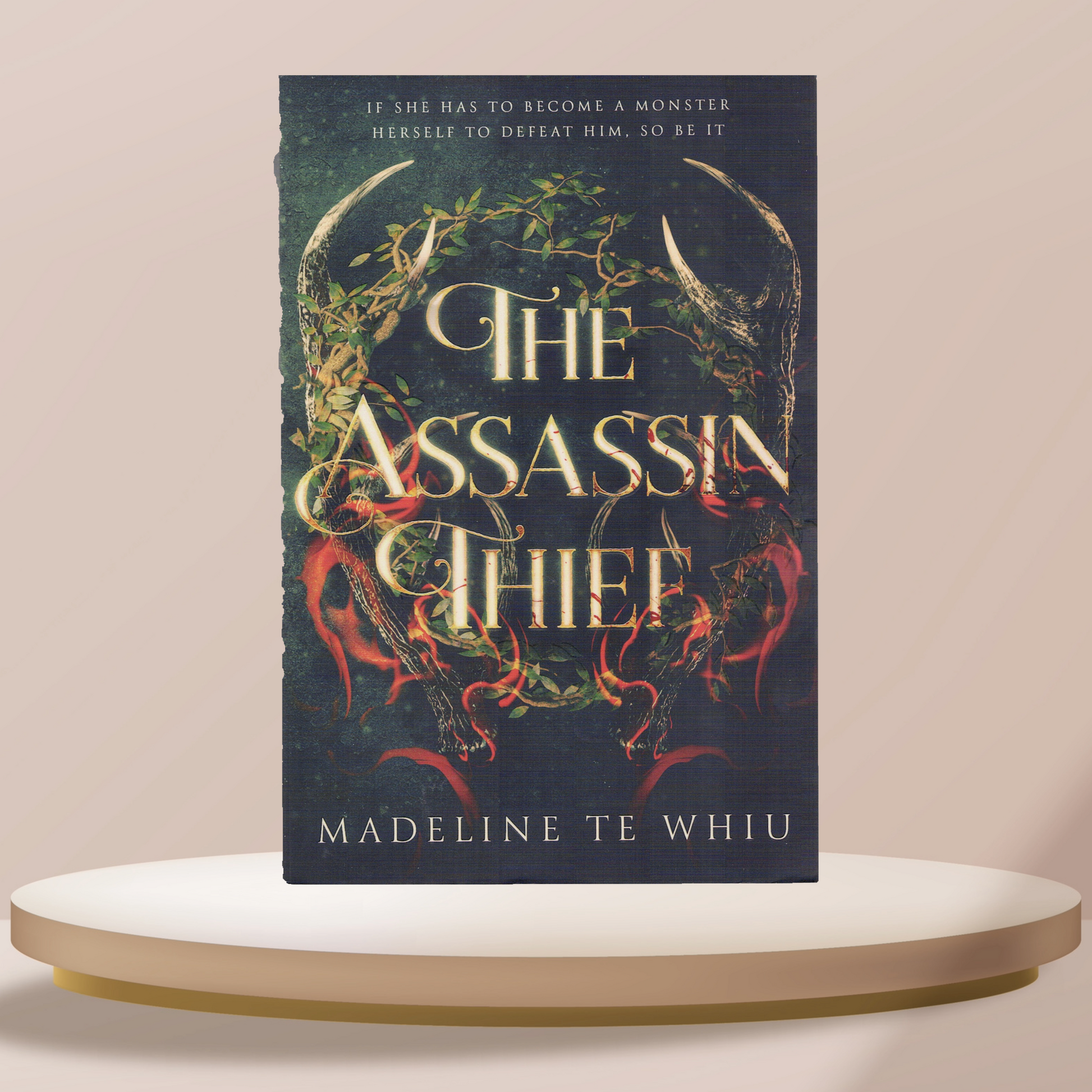 The Assassin Thief