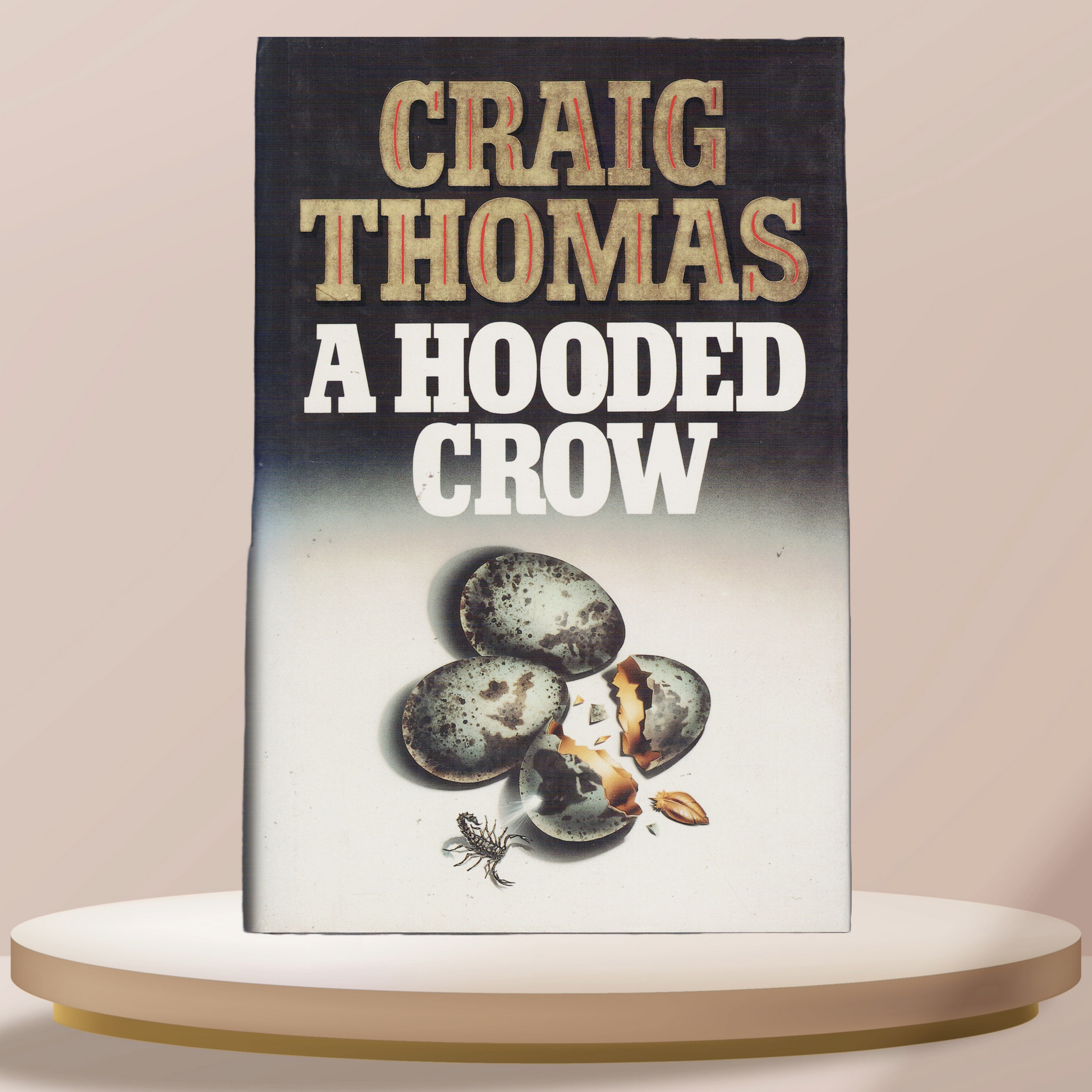 A Hooded Crow