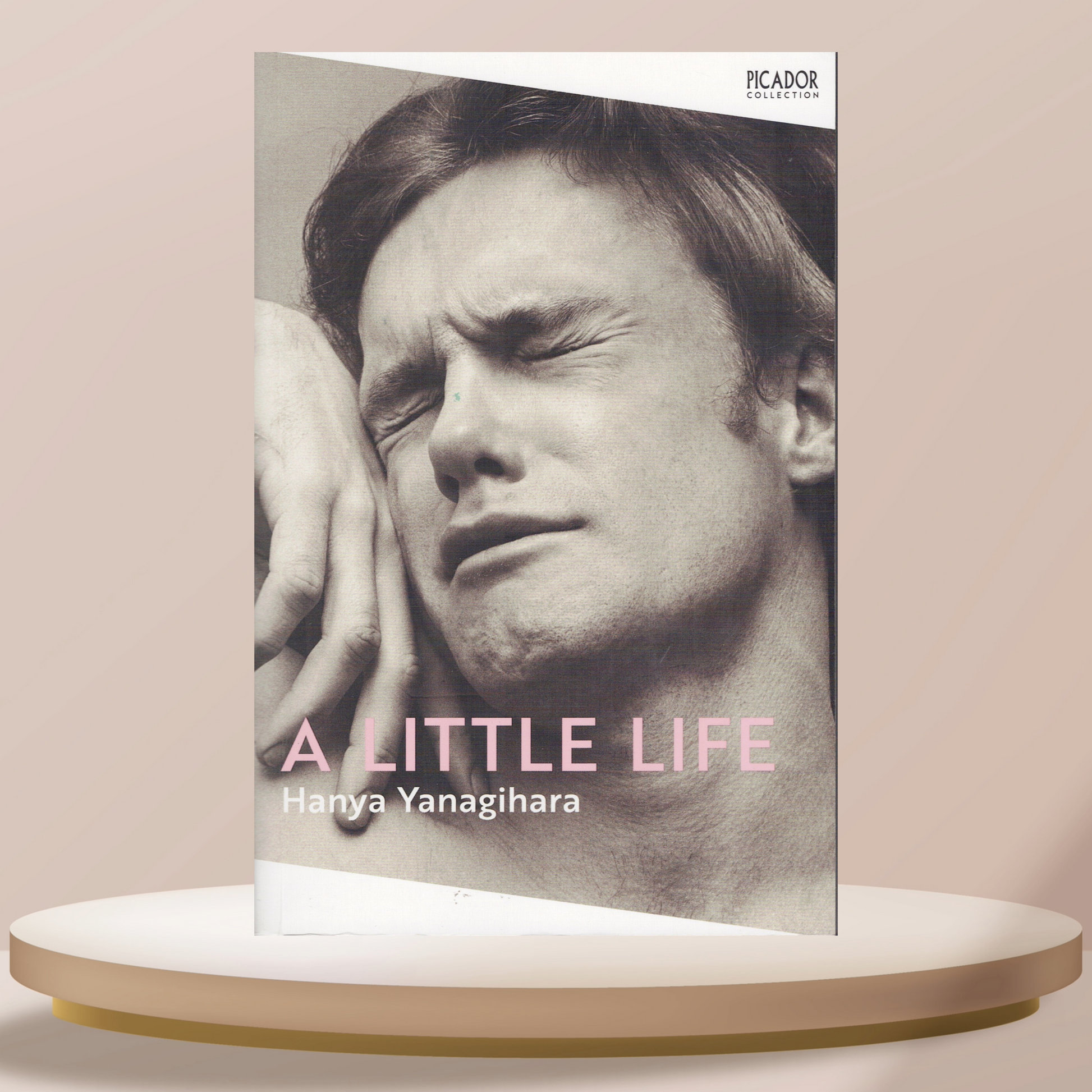 A Little Life