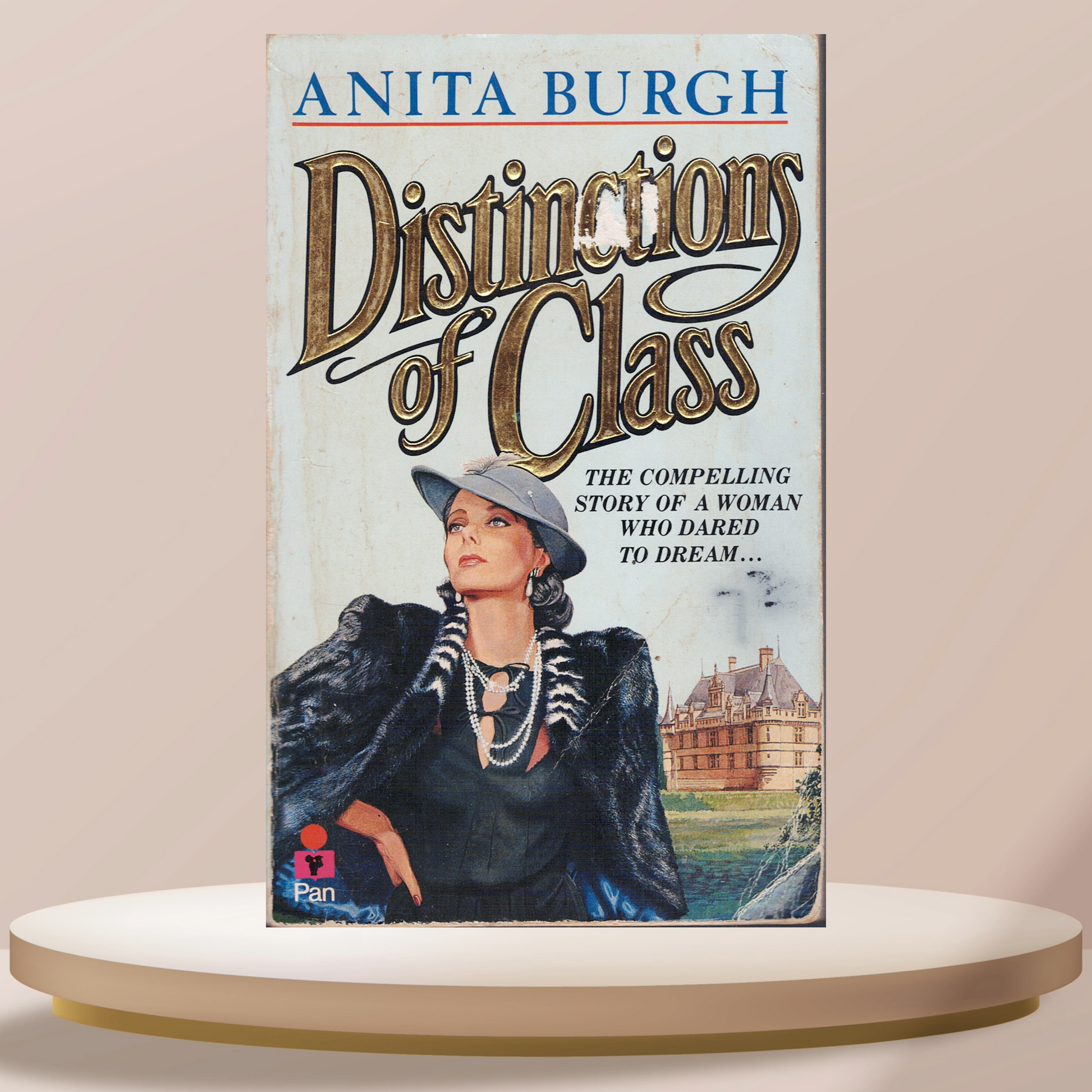 Distinctions Of Class